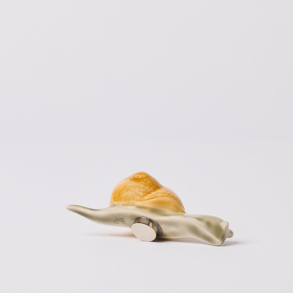 Magnet Escargot