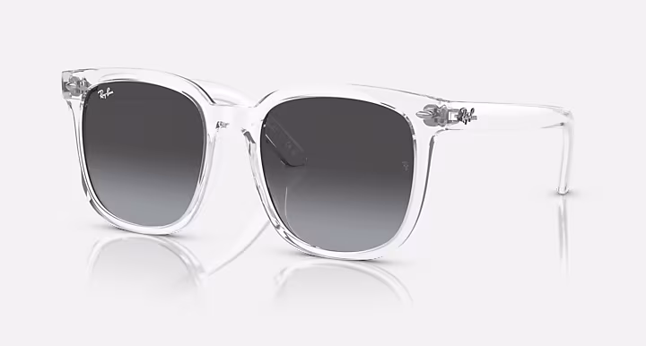 Ray-Ban RB4401D