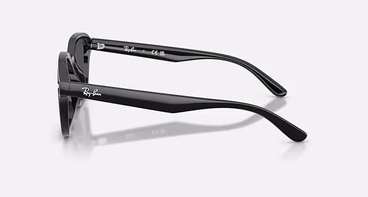 Ray-Ban RB4458D