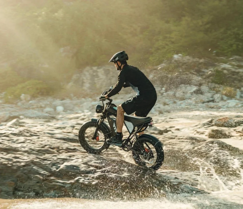 YVY 1500W Electric Bike for Adults, 33MPH 20'' Fat Tire Electric Motorcycle, 48V 20AH Removable Battery, 30 - 60
