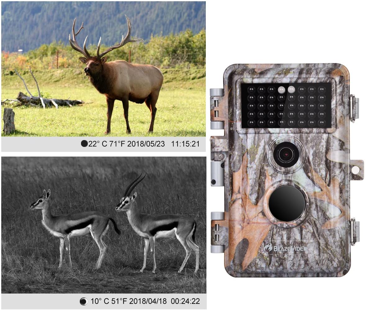 5-Pack Game & Deer Trail Cameras, 16MP 1920x1080P Video, Camo - Image 5 5-Pack Game & Deer Trail Cameras, 16MP 1920x1080P Video, Camo - Image 5