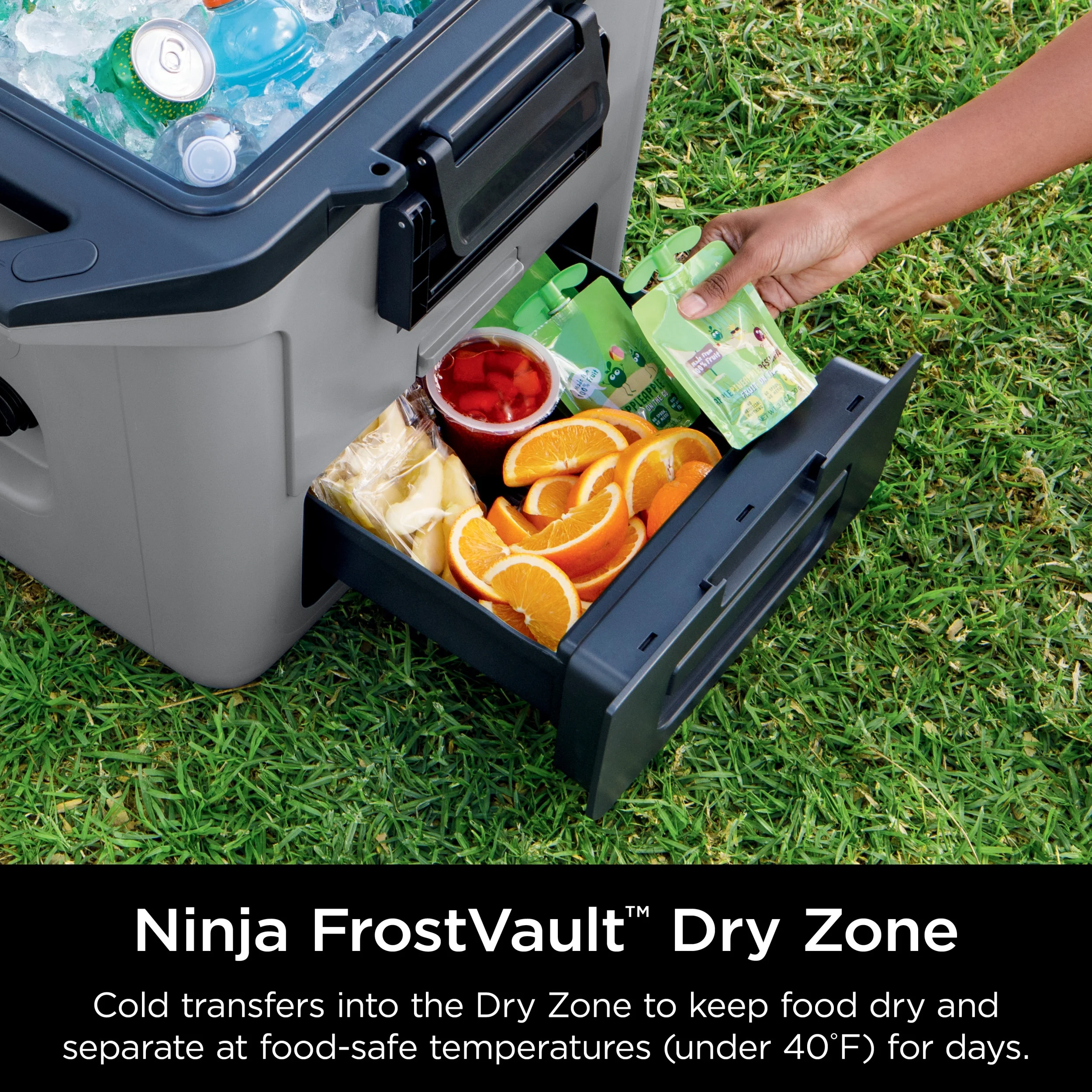 Ninja FrostVault 30qt Hard Cooler with Dry Zone, Ice Chest Cooler, White, FB131WH - Image 14
