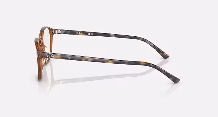 Ray-Ban LEONARD OPTICS
