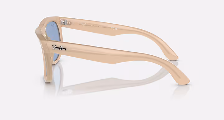 Ray-Ban WAYFARER REVERSE