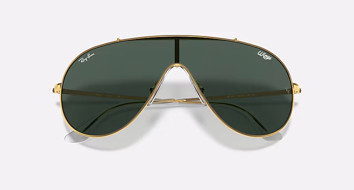 Ray-Ban WINGS