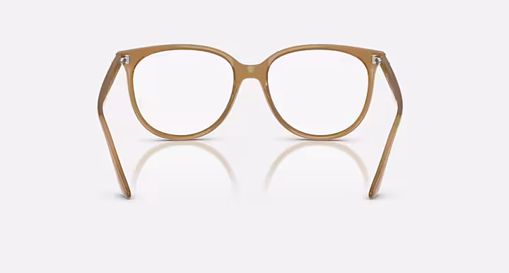 Ray-Ban RB4378V OPTICS