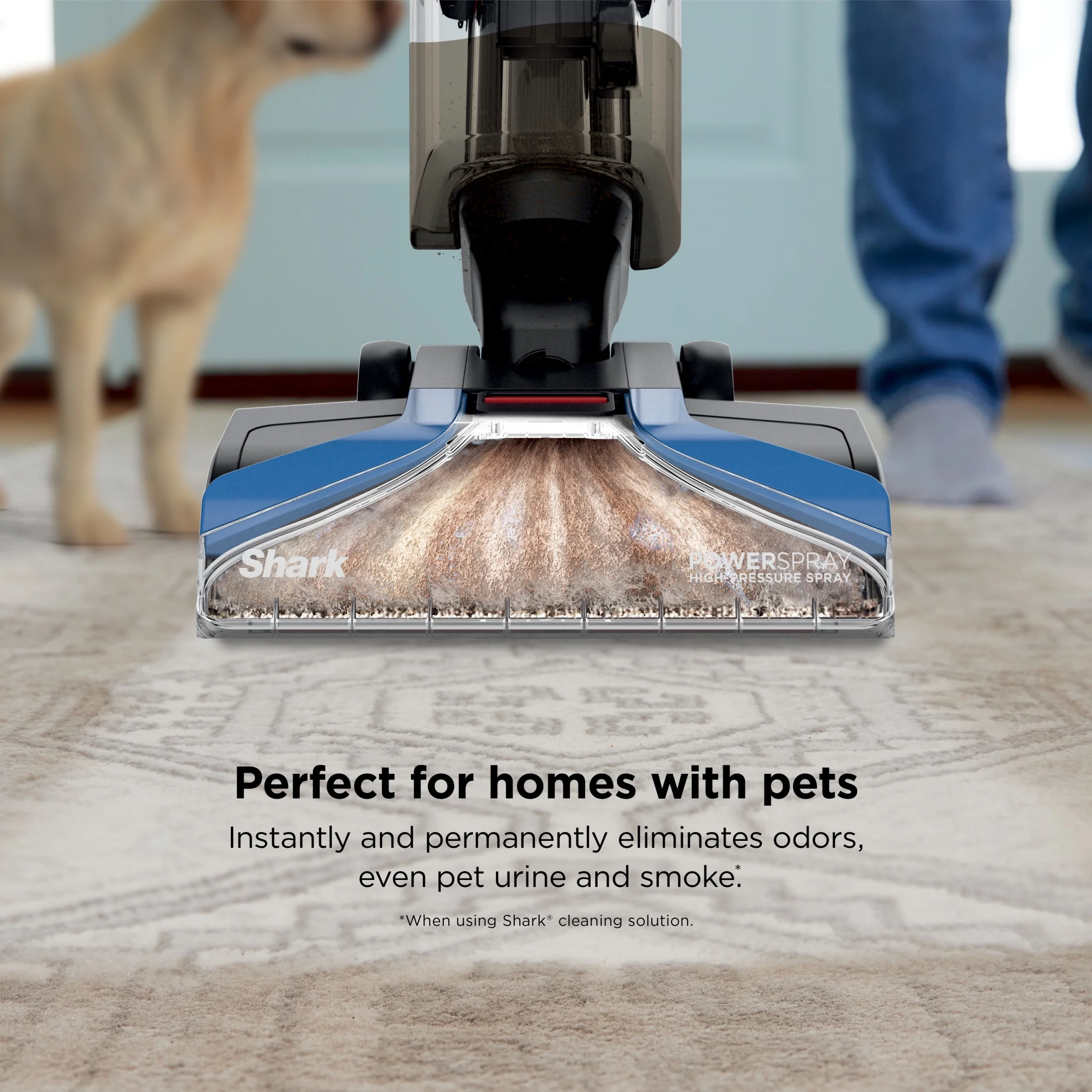 Shark? CarpetXpert? Upright Carpet & Area Rug Cleaner, Perfect for Pets, Lightweight & Powerful, Dirt, Grime, & Odor Removal, Carpet Shampooer, Cleaning Solution, Blue, EX121BRN - Image 6