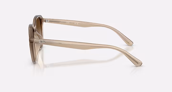 Ray-Ban RB4459D