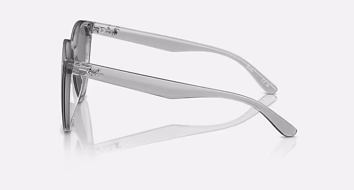 Ray-Ban RB4423D