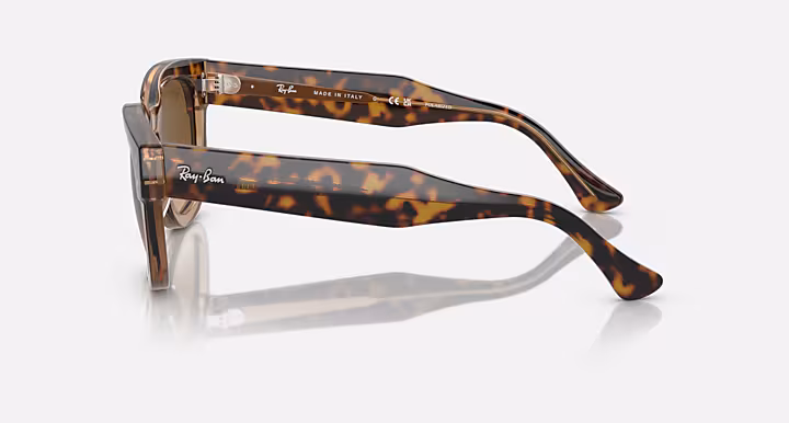 Ray-Ban MEGA HAWKEYE