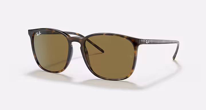 Ray-Ban RB4387
