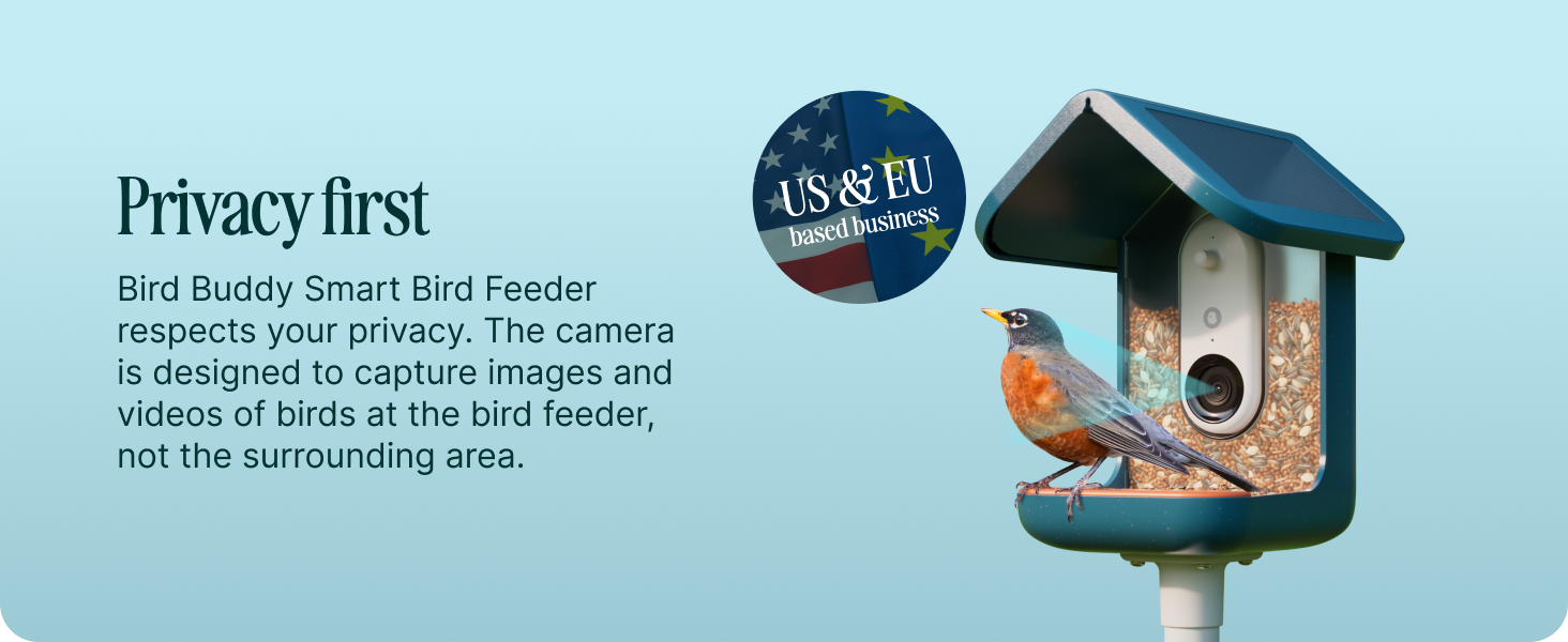 solar bird feeders for outdoors