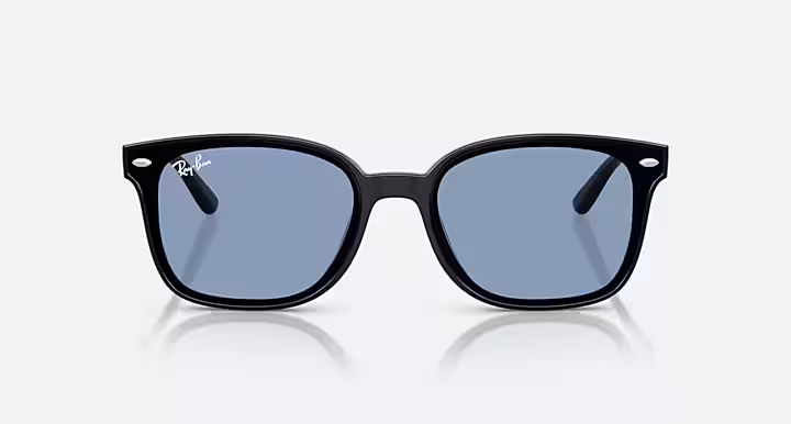 Ray-Ban RB4461D