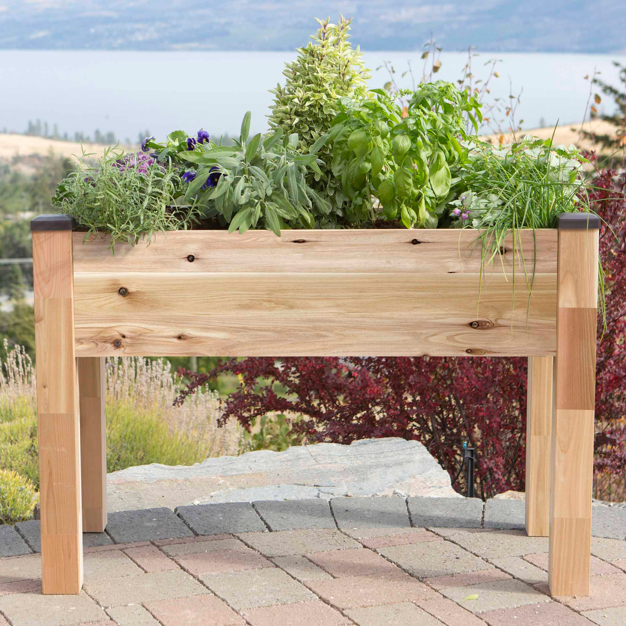 CedarCraft Elevated Cedar Planter 34' x 49' x 30' - image 2