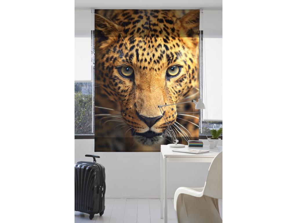 Lujodec | Estores Personalizados ANIMALES | 110 x 180 cm (Ancho por Alto) Tamaño de Tela 107 x 175 cm | Modelo A-122 Color Unico