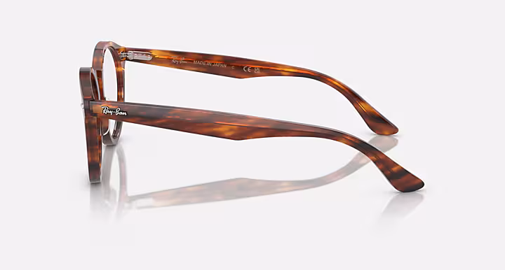Ray-Ban LARRY OPTICS