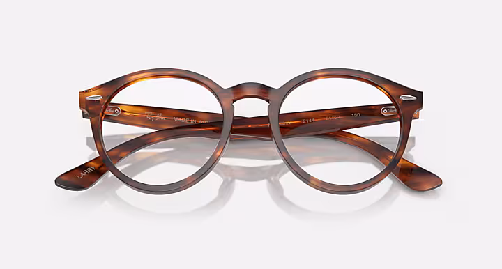 Ray-Ban LARRY OPTICS