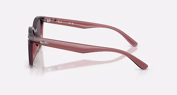 Ray-Ban RB4461D