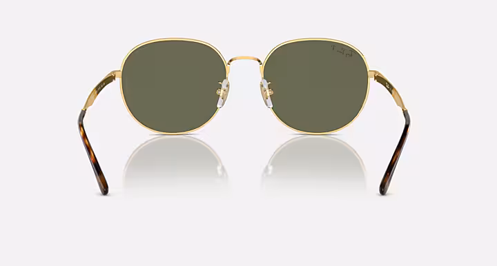 Ray-Ban RB3727D