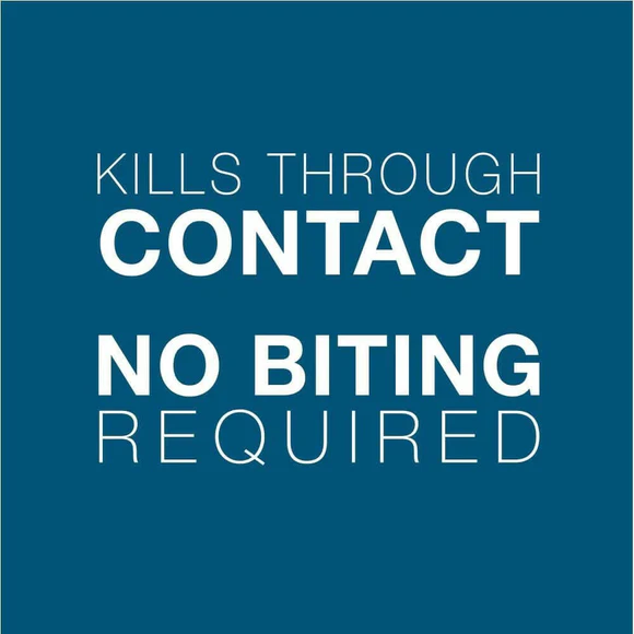 Seresto Flea & Tick Collar for Large Dogs, Over 18 lbs