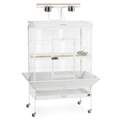 Wrought Iron Select Bird Cage 3154C, Chalk White, 36-Inch by 24-Inch by 66-Inch