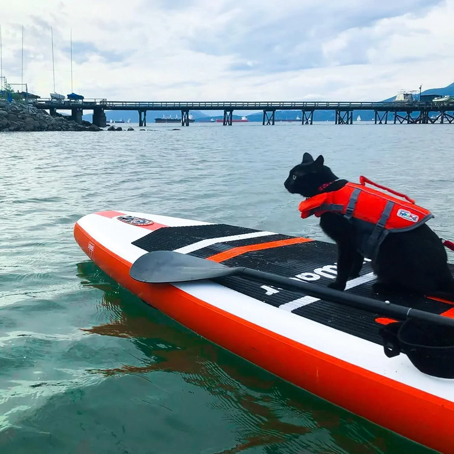 FunWater Inflatable Stand Up Paddle Board, 11 ft x 32 in x 6 in - SUP Paddle Accessories - Image 50 FunWater Inflatable Stand Up Paddle Board, 11 ft x 32 in x 6 in - SUP Paddle Accessories - Image 50