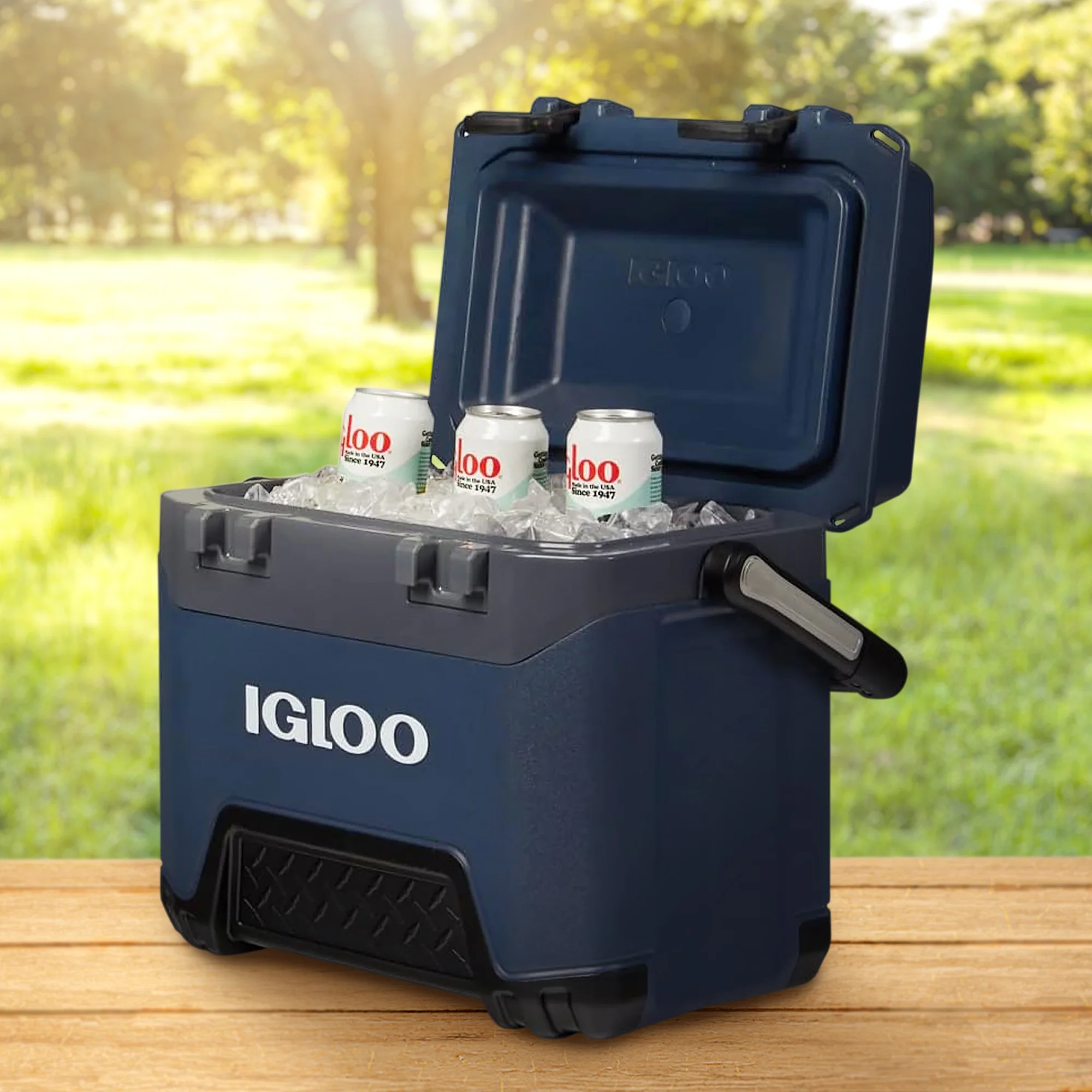 Igloo BMX 25 Quart Ice Chest Cooler with Cool Riser Technology, Rugged Blue - Image 4