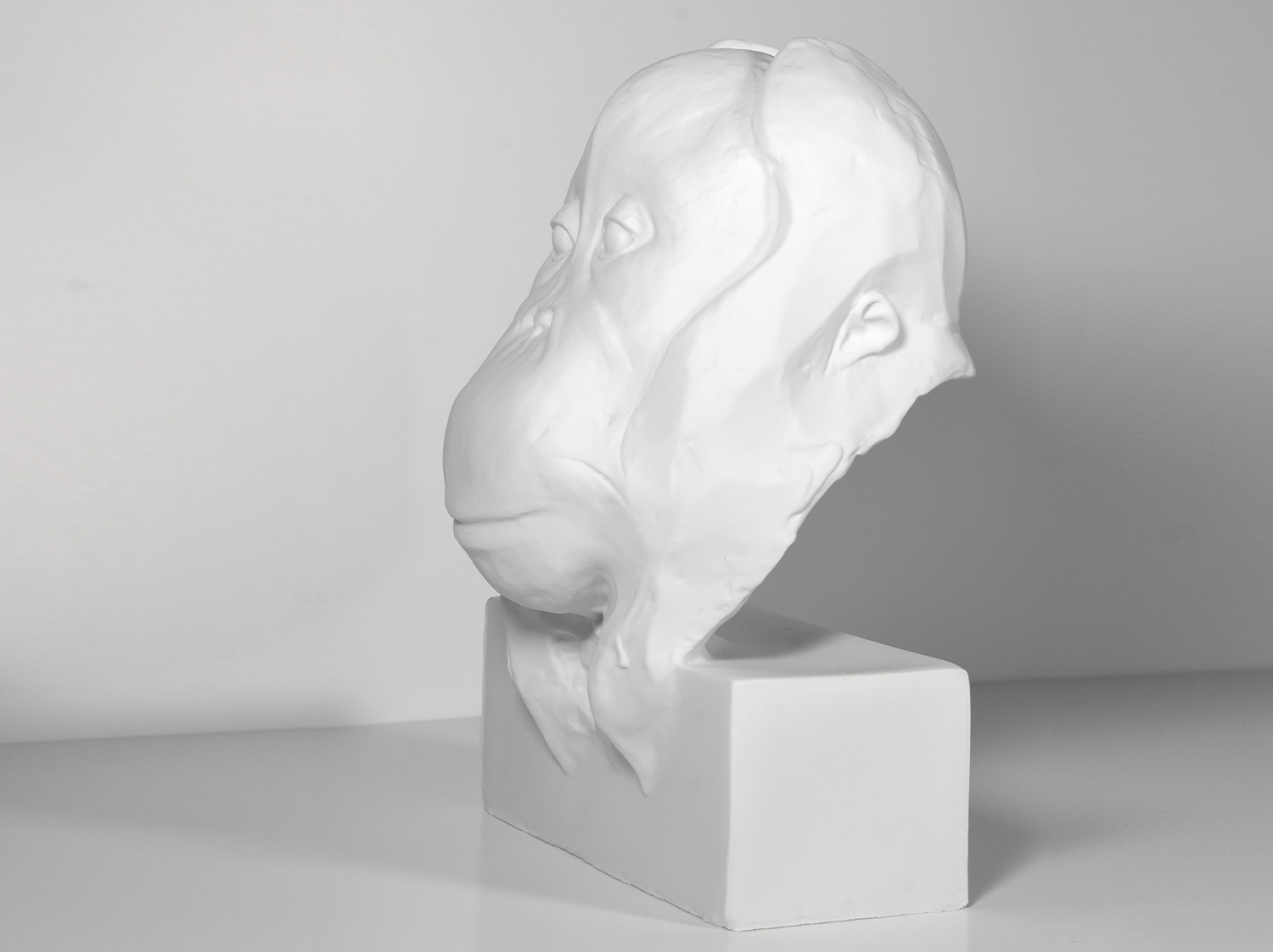 Edition en porcelaine