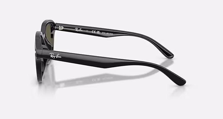 Ray-Ban RB4458D