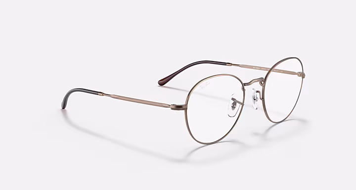 Ray-Ban ROUND METAL OPTICS II