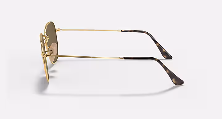 Ray-Ban HEXAGONAL FLAT LENSES