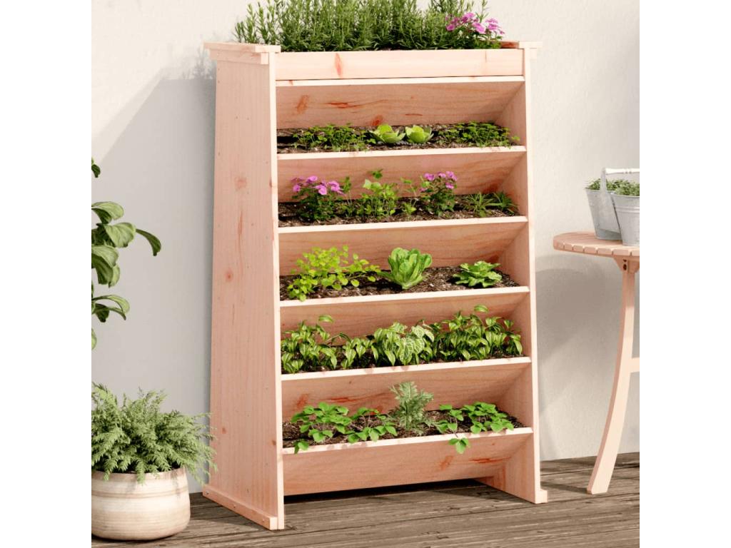 Decoratodo hierbas 6 niveles madera maciza Douglas 69x40x101,5cm
