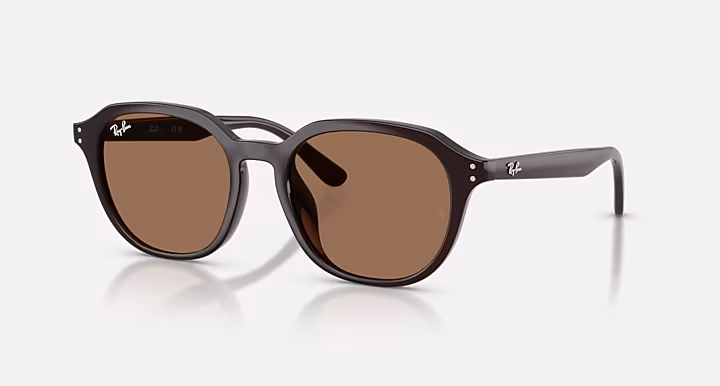 Ray-Ban RB4459D