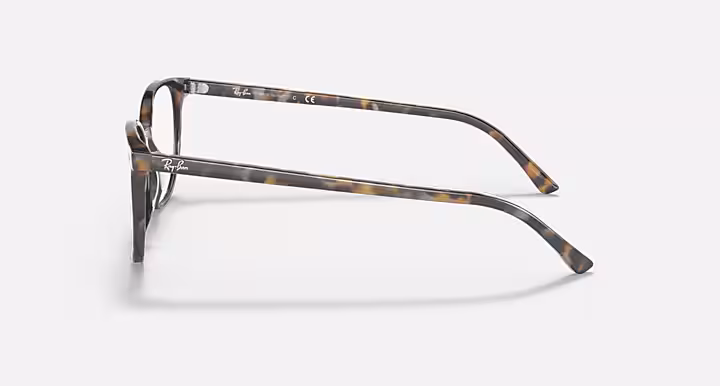 Ray-Ban ELLIOT OPTICS