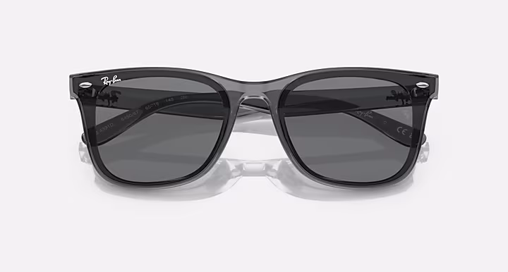 Ray-Ban RB4391D