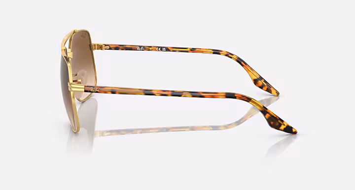 Ray-Ban RB3699