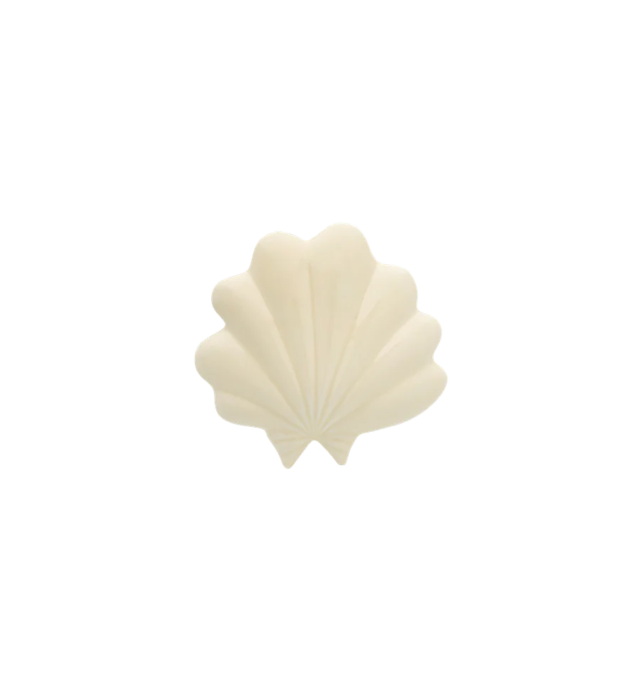 Shell Wall Decoration
