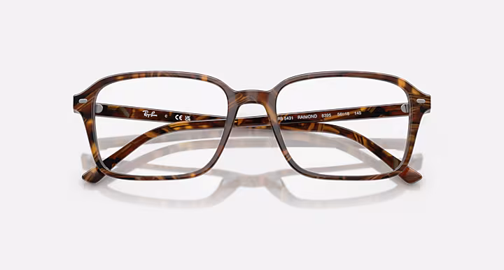 Ray-Ban RAIMOND OPTICS