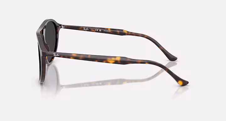 Ray-Ban RB2215