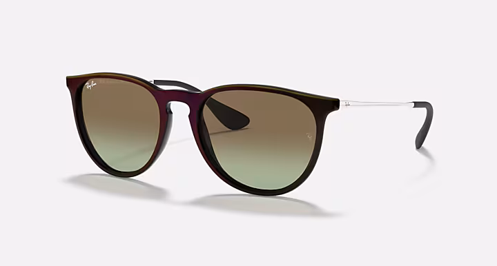 Ray-Ban ERIKA CLASSIC