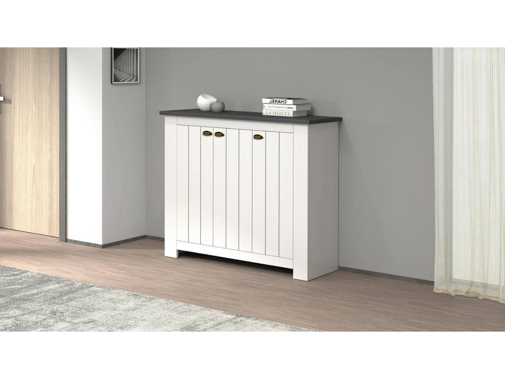 Zapatero Nestleano - zapatero con 3 puertas que ahorra espacio - armario de entrada multifuncional - 114x42h100 cm - Blanco y Antracita
