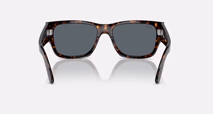 Ray-Ban CARLOS