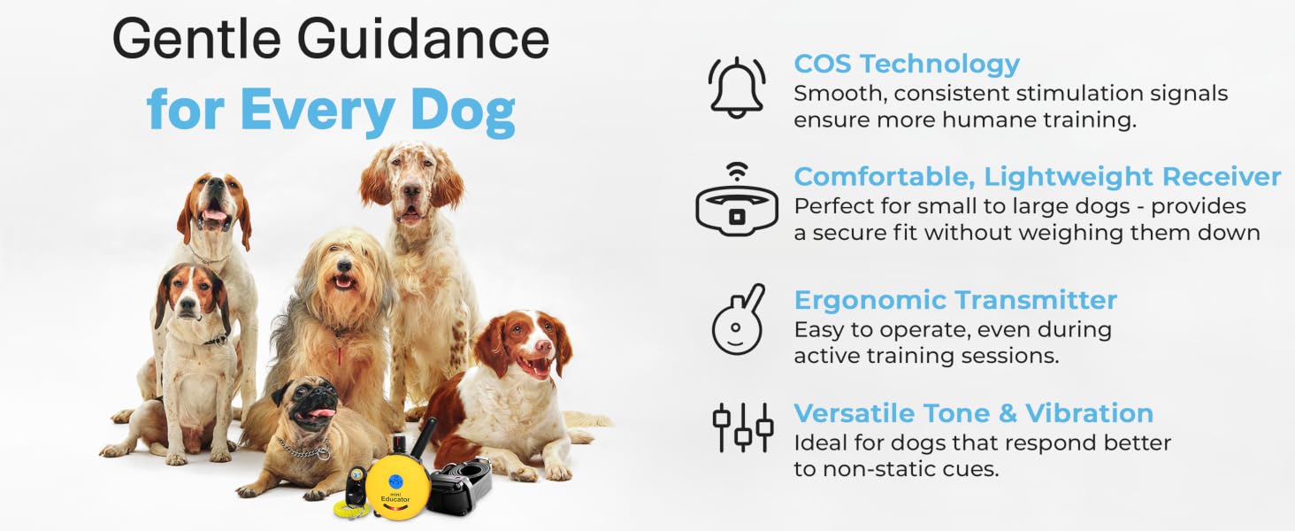 Gentle Guidance for Every Dog
