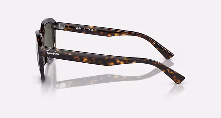 Ray-Ban ERIK