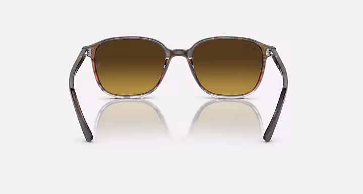 Ray-Ban LEONARD
