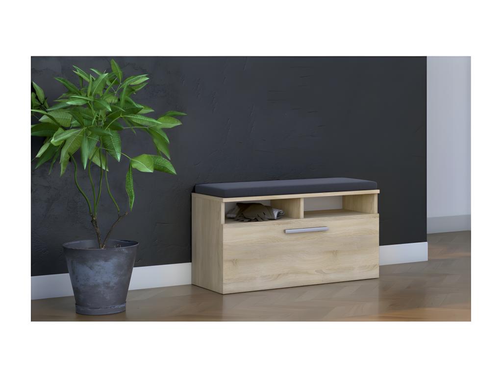 Nestliq - Zapatero y asiento y almacenaje - Puerta basculante - 46x85x35 - 6 estantes - Armario de zapatos