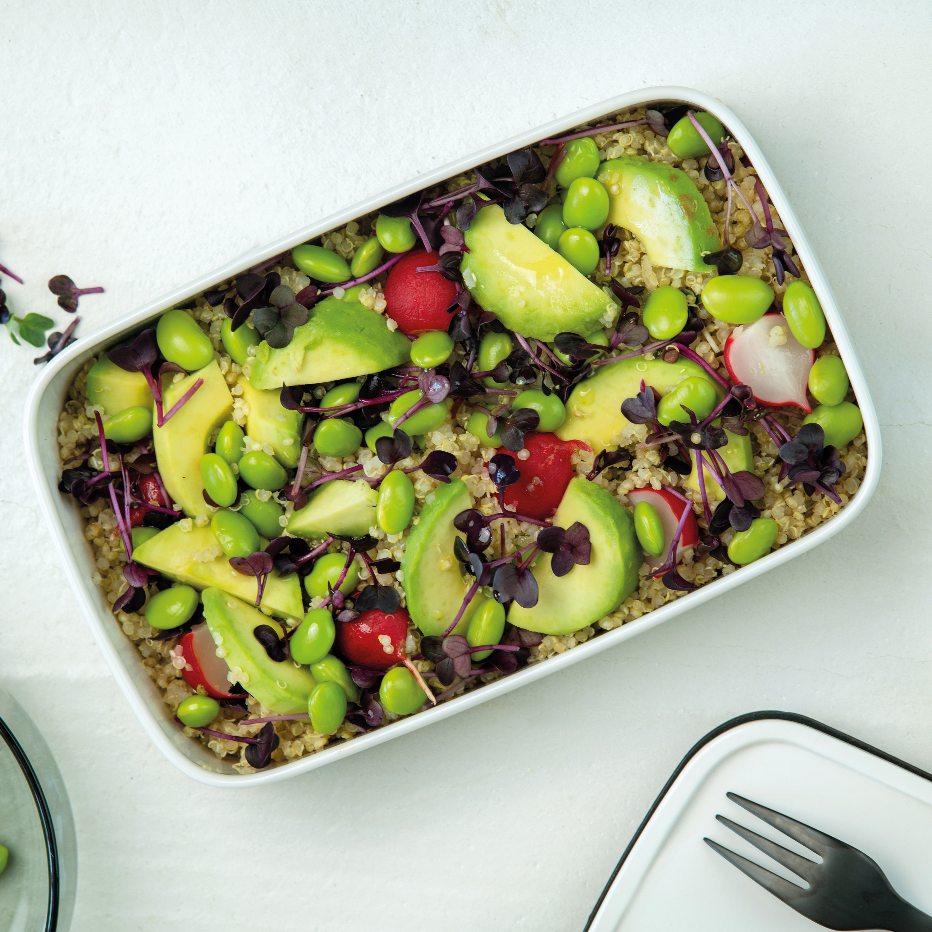 Villeroy & Boch To Go To Go container