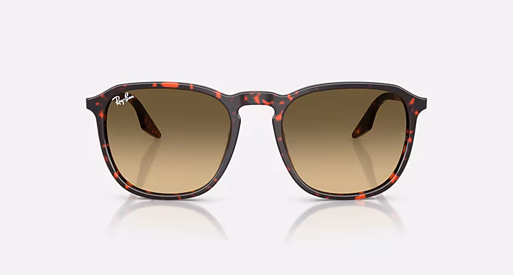 Ray-Ban RB2203