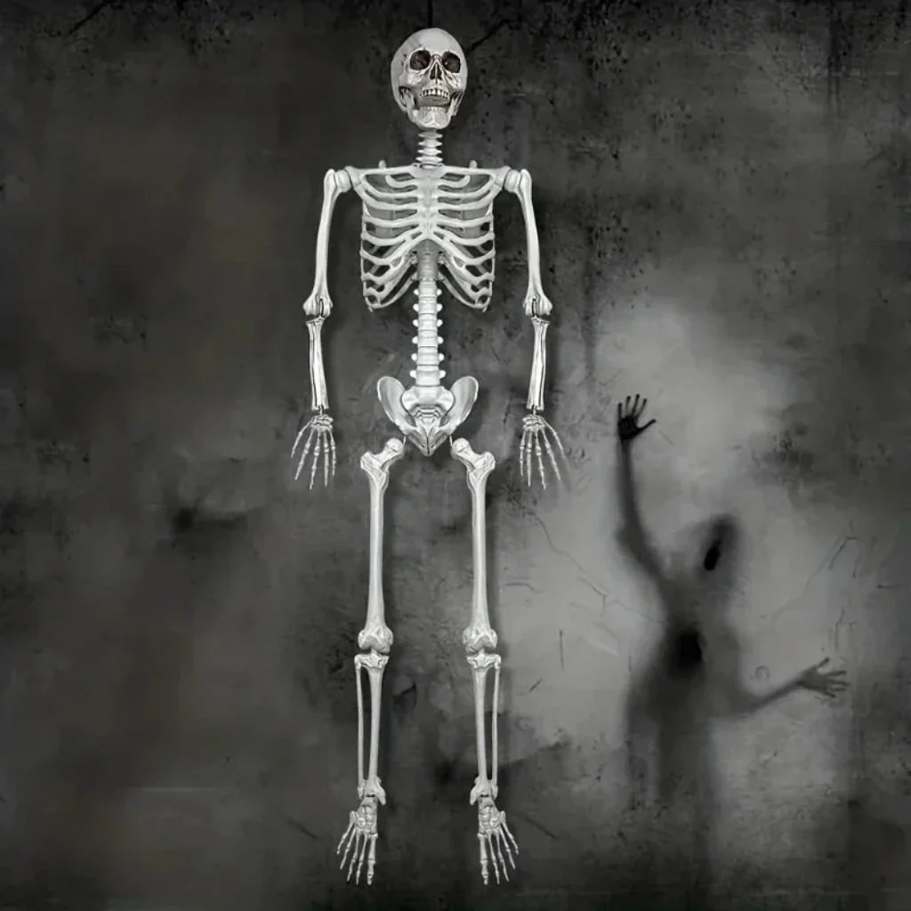 Halloween Decoration Skeleton Figure Life-Size Display - Image 4 Halloween Decoration Skeleton Figure Life-Size Display - Image 4