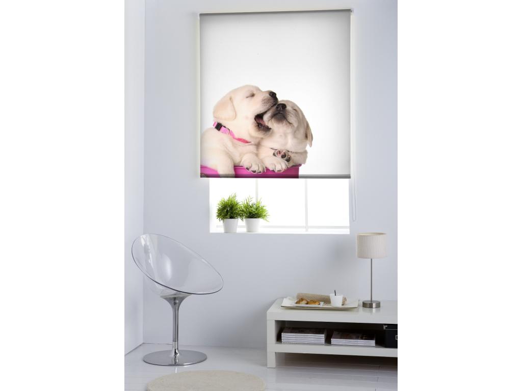 Hogarlujo | Estores Personalizados Easyfix ANIMALES | 110 x 150 cm (Ancho por Alto) Tamaño de Tela 107 x 150 cm | Modelo A-196 Color Unico